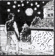 intrus2.gif (54516 byte)